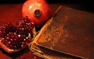 قشنگی یلدا و لذت خدمت رسانی