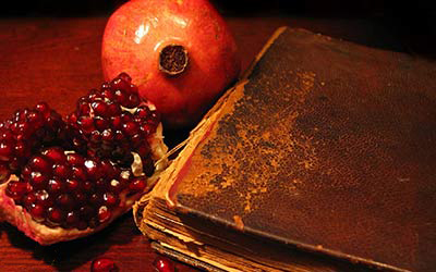 قشنگی یلدا و لذت خدمت رسانی