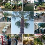 بهسازی فضای سبز محلات توحید و دریان نو درشهرداری ناحیه۶