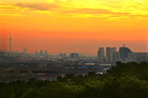 برگزاری تورهای گردشگری رایگان در منطقه22