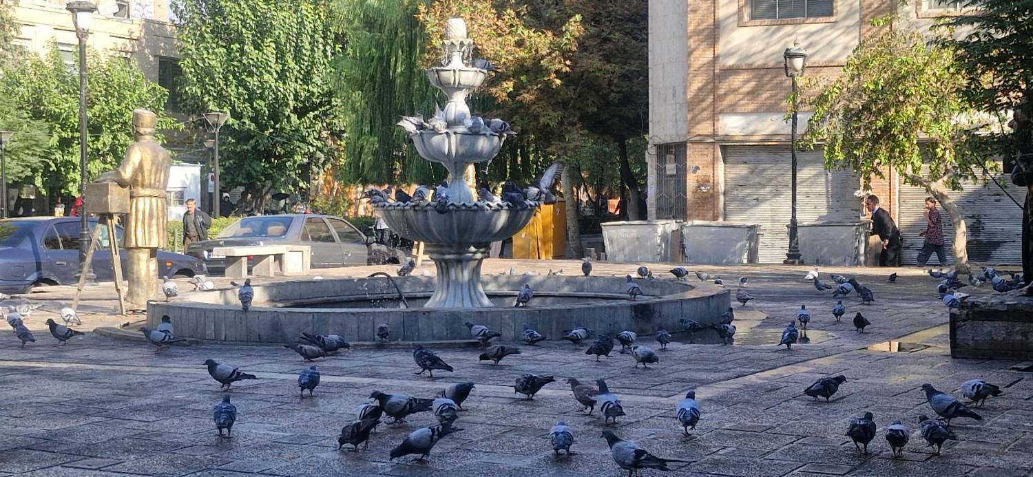 بازگشت صد‌ها کبوترشهری به میدانگاه مروی منطقه۱۲ تهران