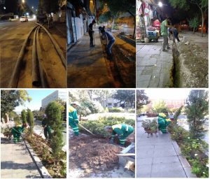 گوشه‌ای از فعالیت اداره فضای سبز شهرداری منطقه۱۲ تهران درنیم سالی که گذشت