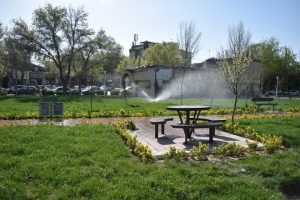 کاهش کاشت چمن رویکرد شهرداری و شورای ششم است.