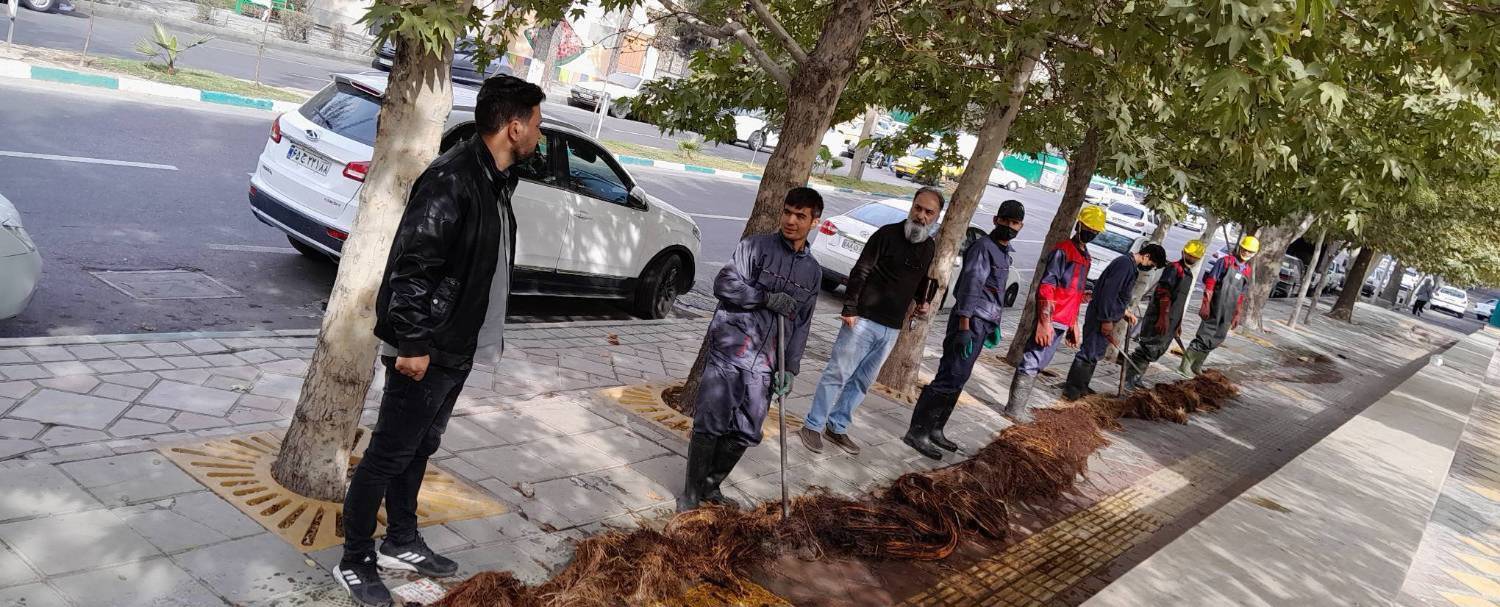 قنات مهدی‌آباد واقع در ناحیه یک منطقه۸ به متراژ یک هزار و ۱۰۰ متر لایروبی و پاکسازی شد.