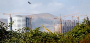 بازنگری نظام بناسازی در حوزه باغات کلانشهر تهران