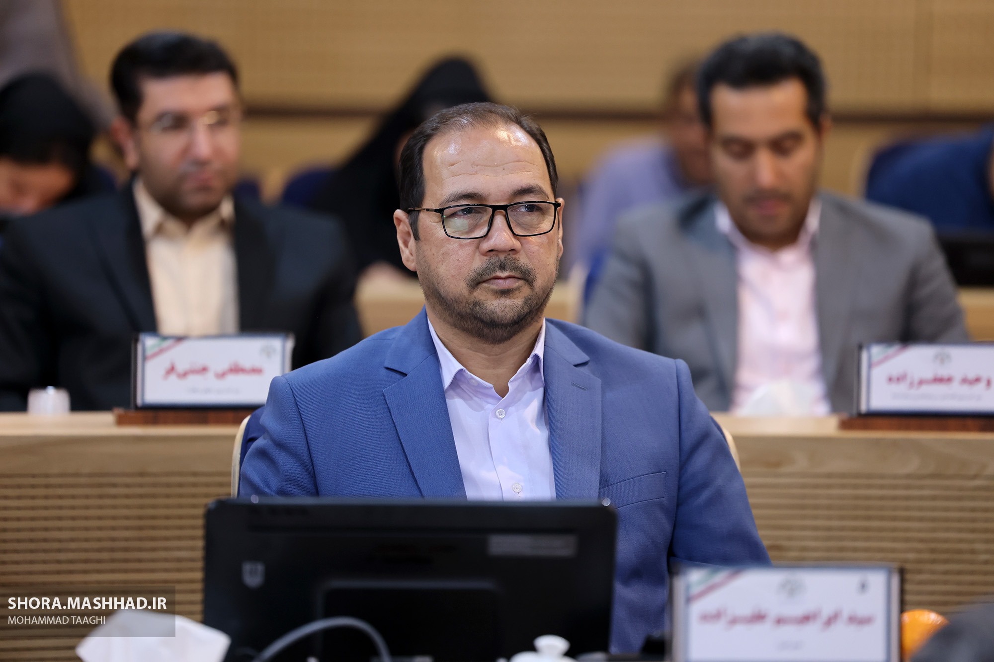 پیش‌بینی 30 هزار درخت مثمر برای تحویل به شهروندان مشهدی
