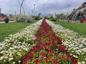 جشنواره گل‌ها دربوستان گوللرباغی ارومیه