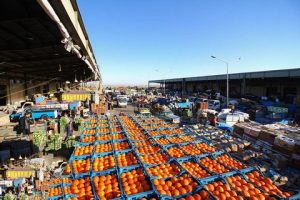 راه‌اندازی میادین جدید میوه و تره‌بار در خوزستانسرپرست معاونت هماهنگی امور اقتصادی استانداری خوزستان