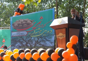 برگزاری جشنواره گردو در بخش "ثمرین" اردبیل