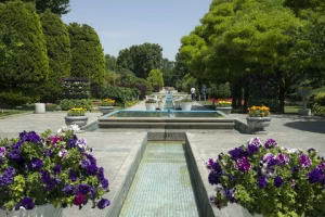 چالش‌های فضای سبز