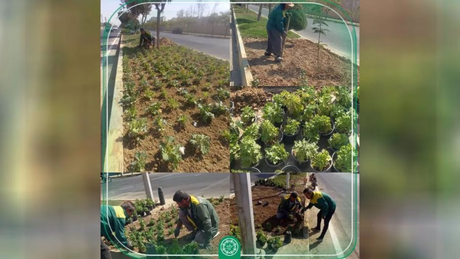 رنگین شدن قلب بلوار الغدیر