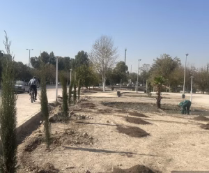 عملیات توسعه پارک بیشه خزایی در ایستگاه پایانی