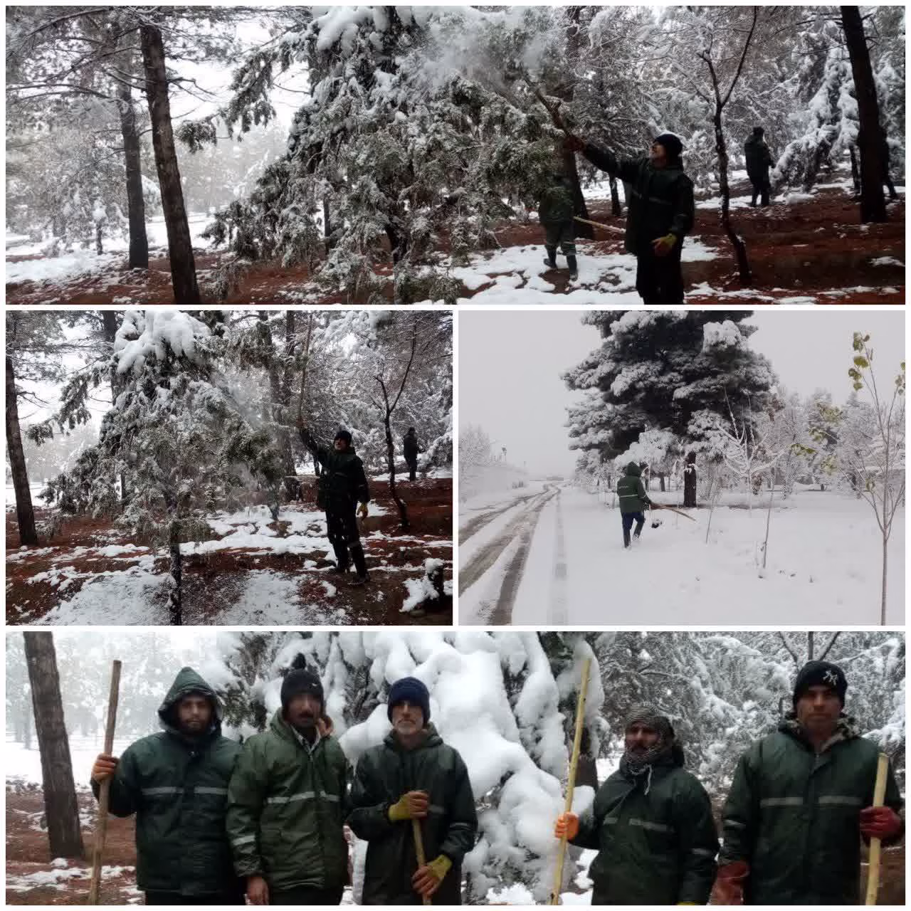 اداره فضای سبز شهرداری به‌ صورت شبانه‌ روزی و با بسیج نیروها و ماشین‌آلات