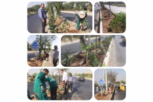 اصلاح کاشت و روش آبیاری رفیوژ میانی بلوار شهدای قیامدشت