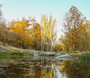 افتتاح بوستان پنج هکتاری ویژه بانوان در مشهد