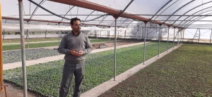 تولید سالانه ۳ میلیون بوته گل‌ و ۱۰۰ هزار اصله درختچه در شهرداری اردبیل