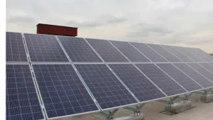 نیروگاه خورشیدی در دشتی با افتتاح ۶ طرح جدید توسعه می یابد