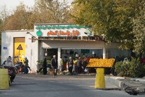 توسعه میادین میوه و تره‌بار در منطقه۱۴