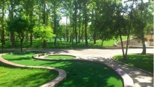 با هدف تضمین پایداری و سلامت فضای سبز آینده شهرکرد ، عملیات توسعه شبکه آبیاری تحت فشار را اجرایی کردیم.