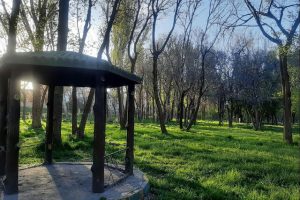 پارک‌ پردیس ابهر در مسیر ساماندهی