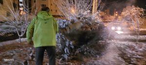 پاکسازی و یخ‌زدایی فضاهای سبزآبیک با نظارت مستقیم مسئول فضای سبز شهرداری