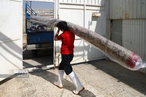 پیامدهای اقتصادی و حقوقی انتخاب قالیشویی غیرمجاز