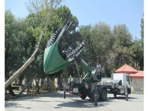 نقش شرکتهای تخصصی در انتقال درختان شهری