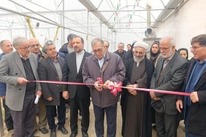 افتتاح پروژه های نهاوند در دهه فجر با تمرکز بر سلامت آموزش و کشاورزی نوین