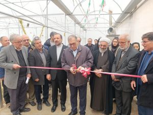 افتتاح پروژه های نهاوند در دهه فجر با تمرکز بر سلامت آموزش و کشاورزی نوین