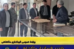 بازدید فرماندار ملکشاهی از نانوایی‌ها برای ارتقای کیفیت نان و خدمات‌رسانی