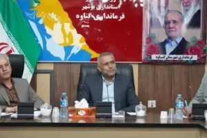 شورای ترافیک گناوه نیازمند اجرای دقیق و فوری مصوبات است