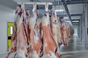 توسعه صنایع پروتئینی بوشهر با افتتاح کشتارگاه صنعتی