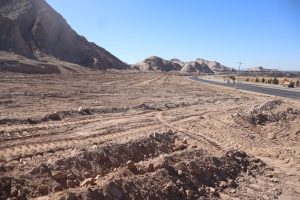 ادامه طرح جنگل‌کاری در پردیسان قائم(ع) و افزایش سرانه فضای سبز کرمان