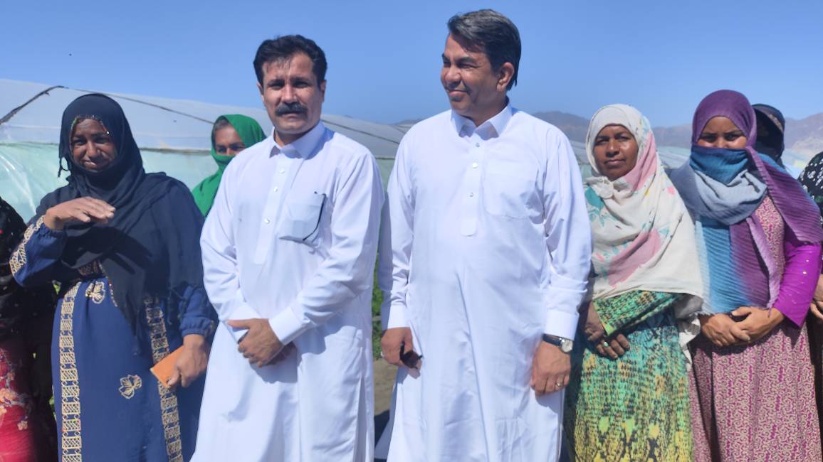 بازدید معاون توسعه روستایی رئیس‌جمهور از یک طرح تولیدی گلخانه‌ای با ظرفیت صادراتی