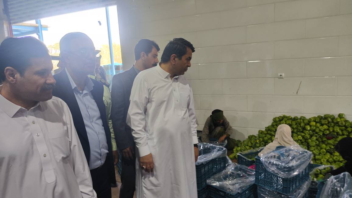 بازدید معاون توسعه روستایی رئیس‌جمهور از یک طرح صنایع تکمیلی کشاورزی در کهنوج