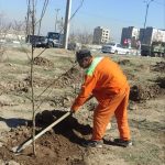 راستای توسعه فضای سبز شهری، ارتقای کیفیت محیط‌زیست و بهبود سیمای شهری، طرح درختکاری توسط شهرداری بیدستان با جدیت ادامه دارد.