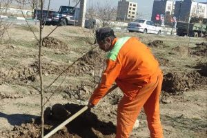 راستای توسعه فضای سبز شهری، ارتقای کیفیت محیط‌زیست و بهبود سیمای شهری، طرح درختکاری توسط شهرداری بیدستان با جدیت ادامه دارد.