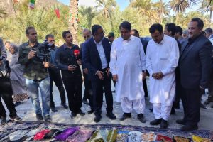 حمایت از مشاغل خانگی زنان روستایی در دستورکار دولت چهاردهم