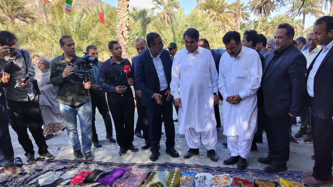 حمایت از مشاغل خانگی زنان روستایی در دستورکار دولت چهاردهم