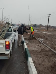 شروع اجرای برنامه درختکاری کنار جاده ترانزیت بیدستان