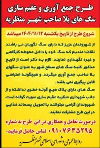 طرح جمع آوری و عقیم سازی سگ های بلا صاحب شهر منظریه