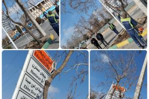 شهردار گلبهار گفت