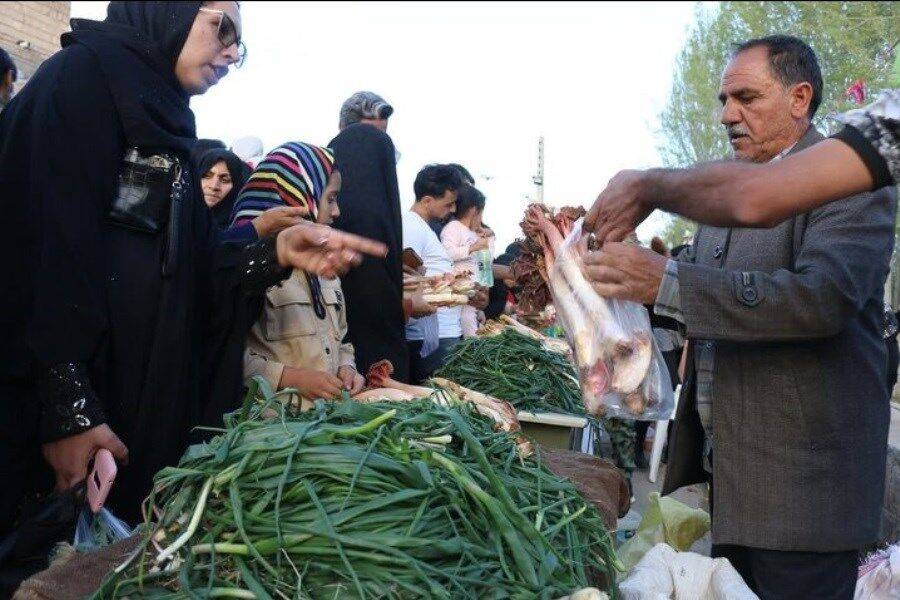جشنواره-ریواس-و-سبزیهای-بومی-کوهسرخ