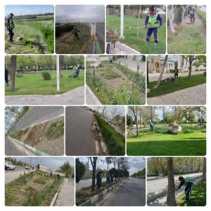 رئیس اداره فضای سبز شهرداری گلبهار گفت: