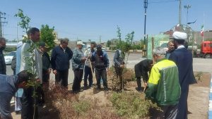 کاشت بیش از ۲ هزار نهال در تایباد