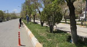 روند-بذر-پاشی-توسط-شهرداری-بیجار