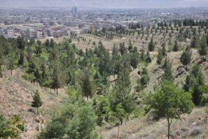 پارک دوبرار؛ بام سبز و قلب گردشگری بجنورد