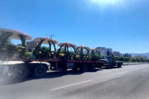 خرید و جانمایی سِری آلاچیق‌های جدید در پارک و بوستان‌های سطح شهر